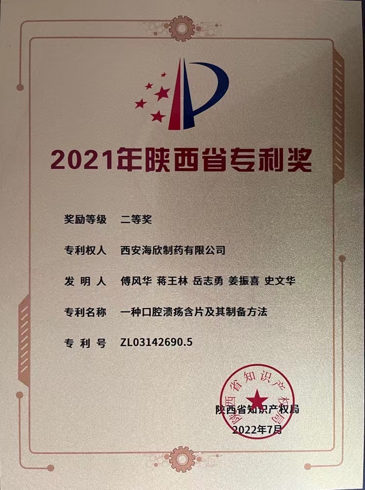 2021年陕西省专利奖