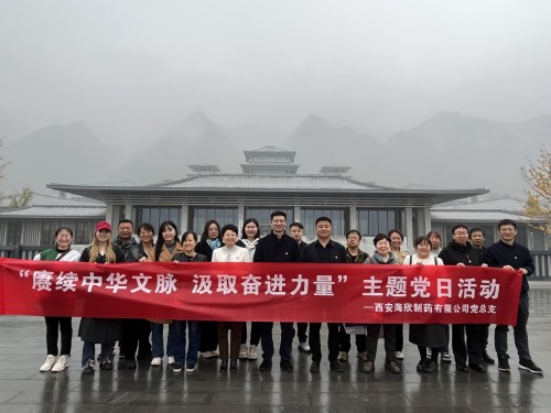 西安海欣制药党总支组织党员赴西安国家版本馆开展主题党日活动